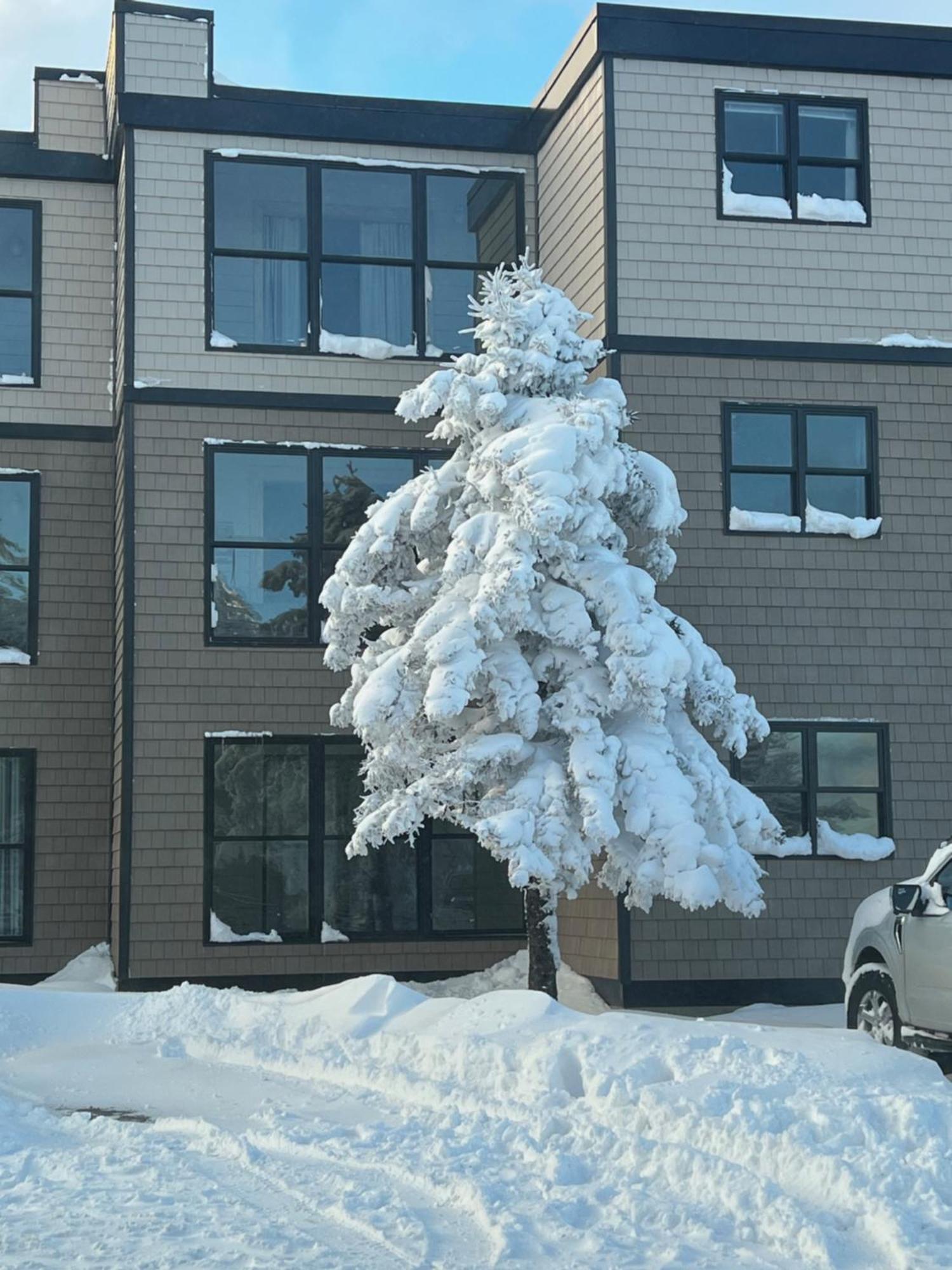Snowcrest Condo Walking Distance To Slopes Snowshoe Exterior foto